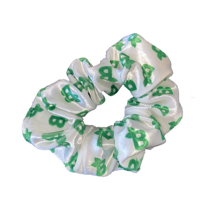 Free Scrunchie X6